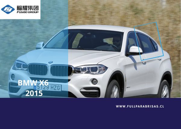 VIDRIO TRASERO IZQUIERDO  BMW X6  ORIGINAL