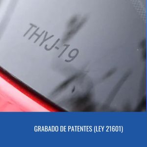 GRABADO DE PATENTES EN VIDRIOS Y ESPEJOS VEHICULO COMPLETO FLOTA
