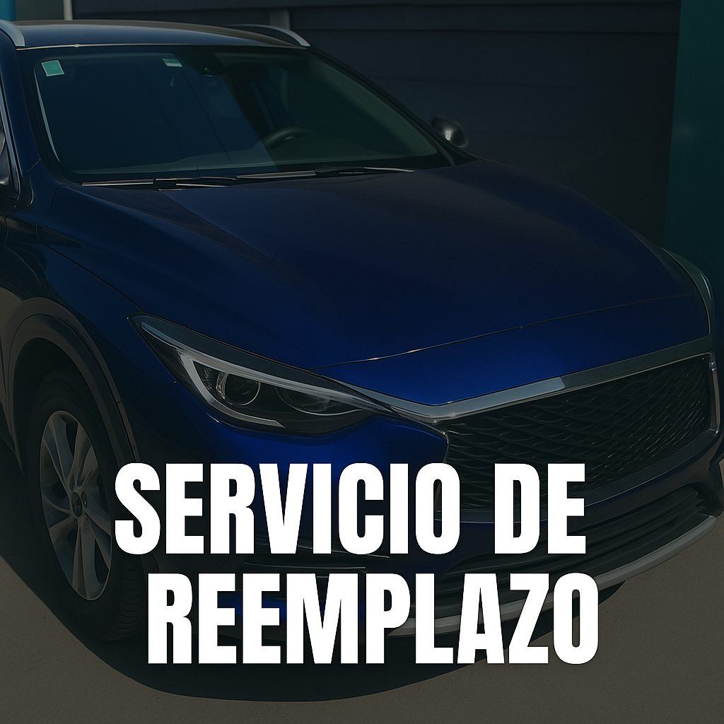 que incluye el servicio